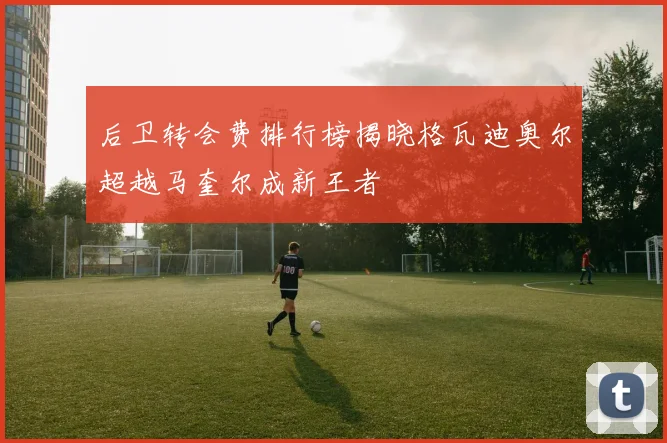后卫转会费排行榜揭晓格瓦迪奥尔超越马奎尔成新王者